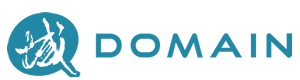 Next Domain Limited Logo